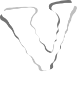 Vibe Logo